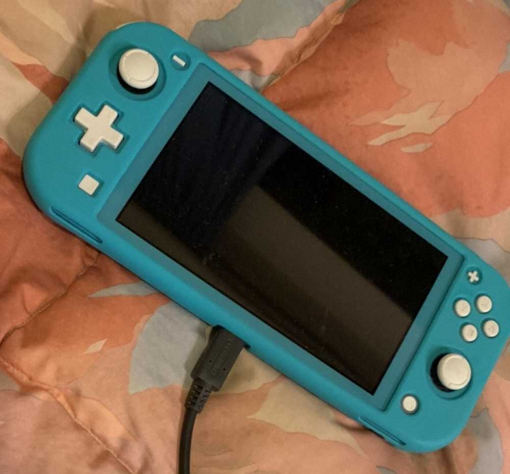 【画像・写真】広島・小園　休日にゲームで気分転換も…結局頭の中は野球だけ