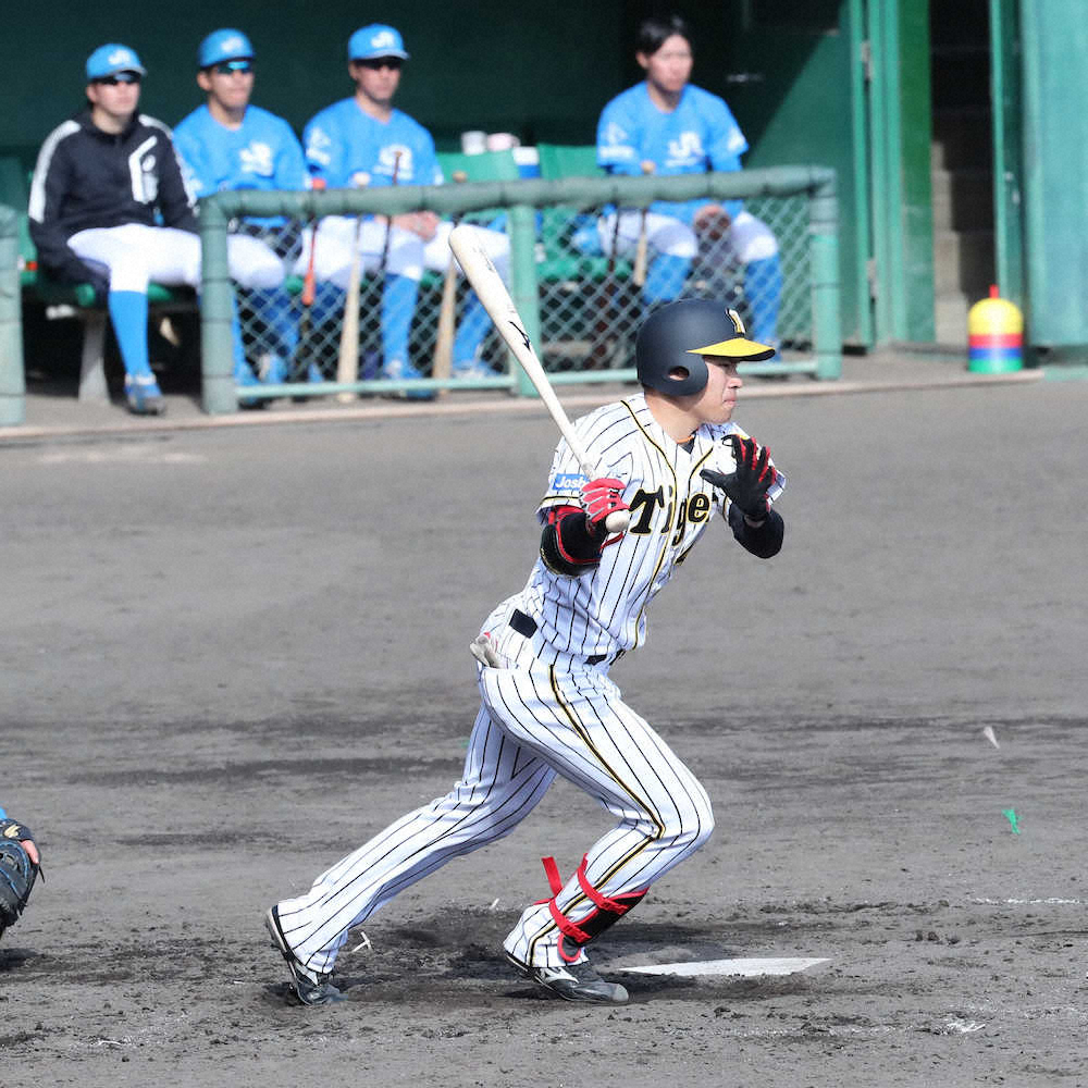 【画像・写真】阪神・ドラ4遠藤も負けじ2安打　平田2軍監督「甲子園でダテにやってない」