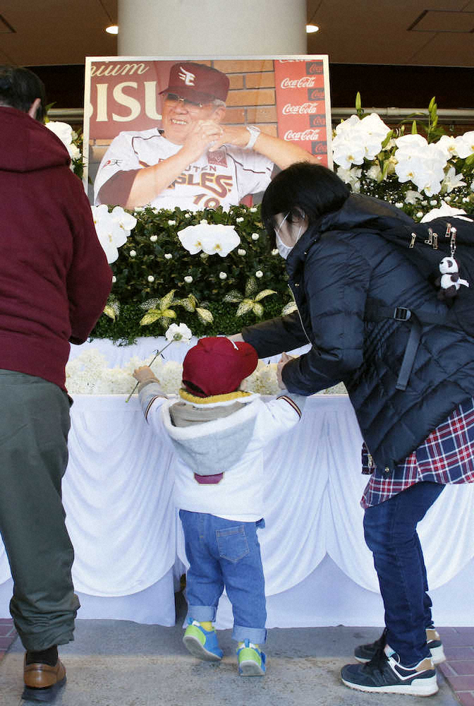 楽天生命パーク宮城に設置された野村克也元監督の献花台に花を手向ける男の子