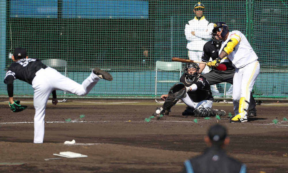 【画像・写真】ソフトB　バレンティン、初実戦は2打席立ち四球と投ゴロ　快音なしも表情明るく