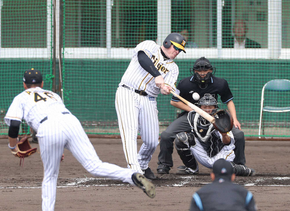 【画像・写真】逆風関係なし　阪神・ボーア　期待高まる右越え２点弾「80％ぐらいのちょうどいい力で」