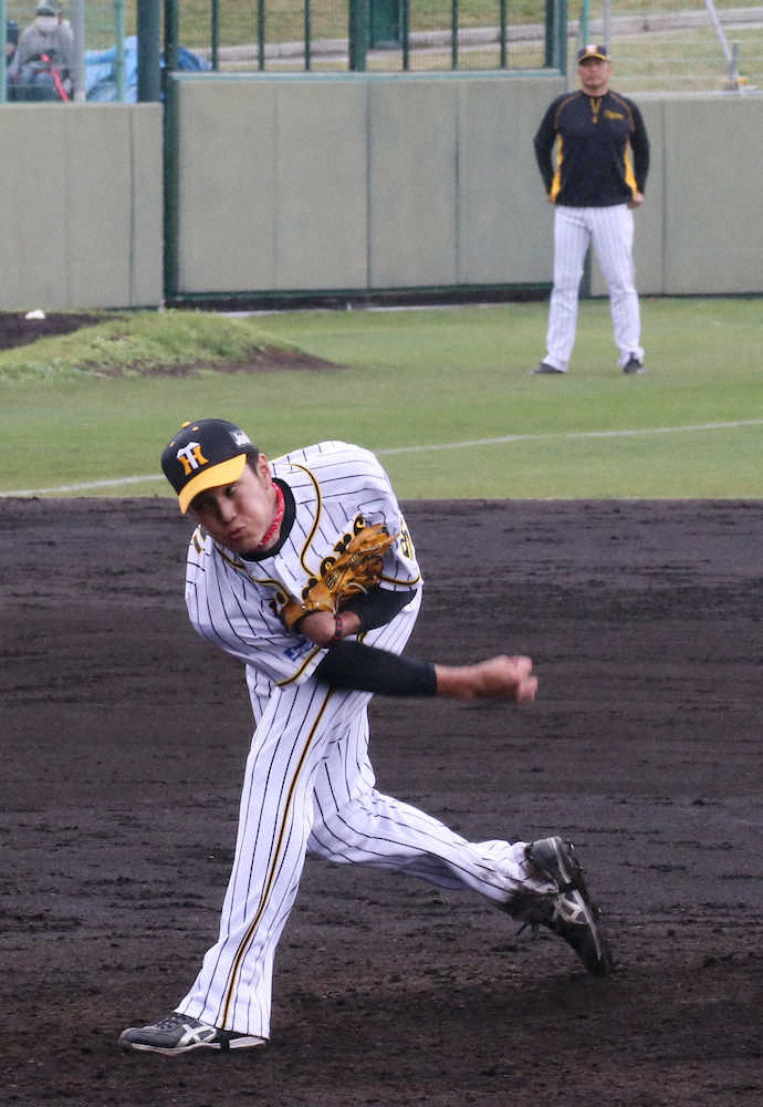 【画像・写真】阪神・藤浪　3回3安打2四球2失点も“復活”へ前進　矢野監督「後退している感じはない」