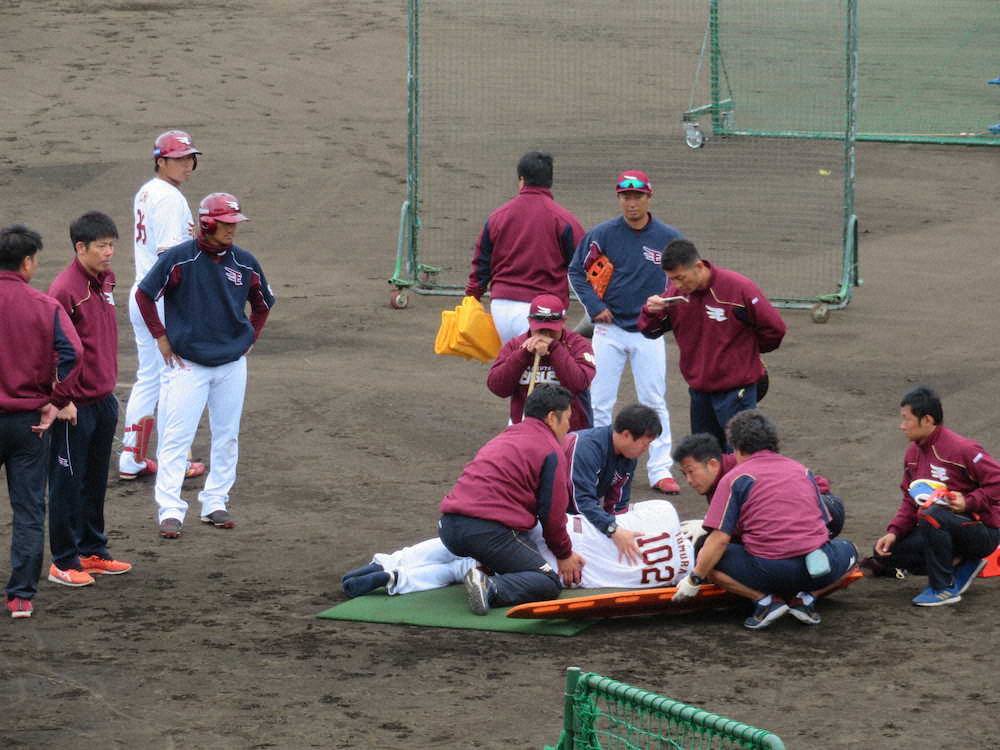 【画像・写真】楽天・戸村打撃投手　頭部に打球も意識しっかり