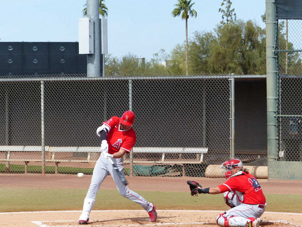 【画像・写真】エンゼルス・大谷　ライブBPで左投手相手に4打数1安打　26日レッズ戦出場へ