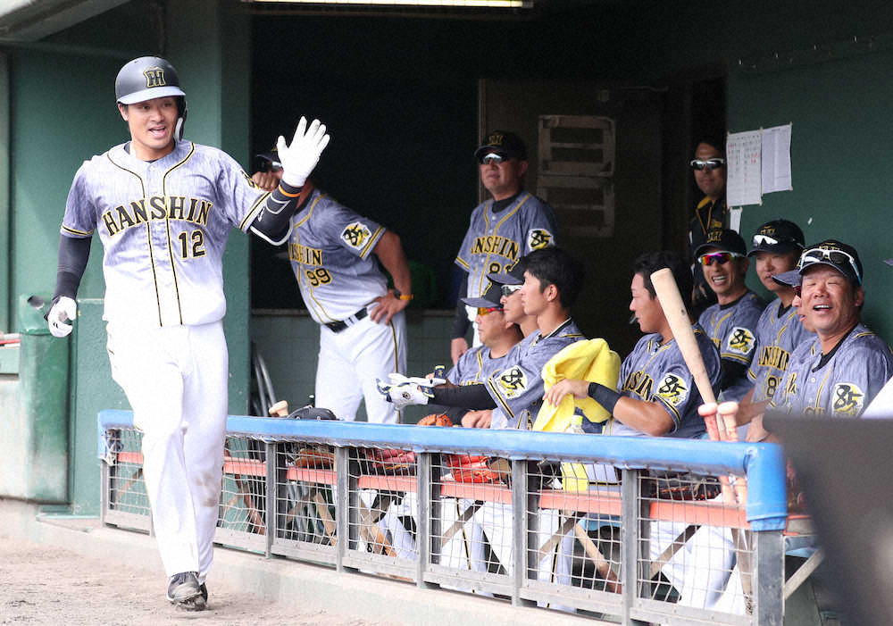 【画像・写真】阪神・坂本　阪神OP戦1号！矢野監督絶賛、梅野脅かす存在に「なっていける」