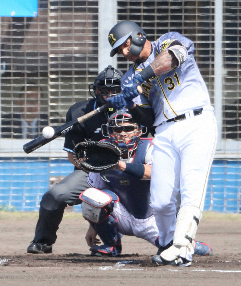 【画像・写真】阪神・助っ人砲3人　初のそろい踏み　開幕投手候補2人と注目の対決