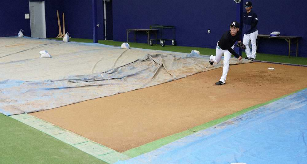 【画像・写真】日本ハム斎藤　キャンプは「良くなかった」　最終日に唯一ブルペン入り