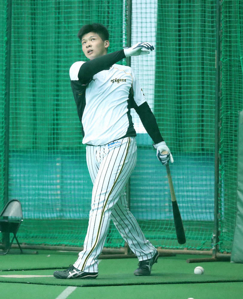 【画像・写真】阪神・井上