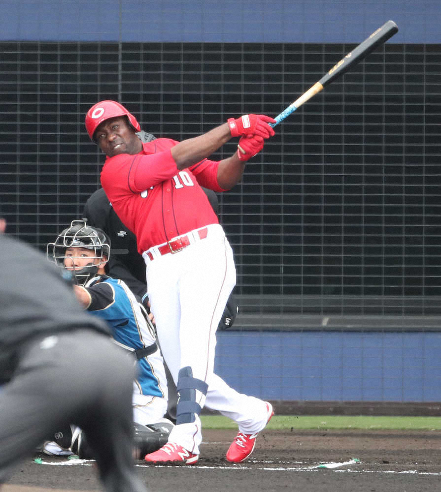 【画像・写真】広島のピレラ