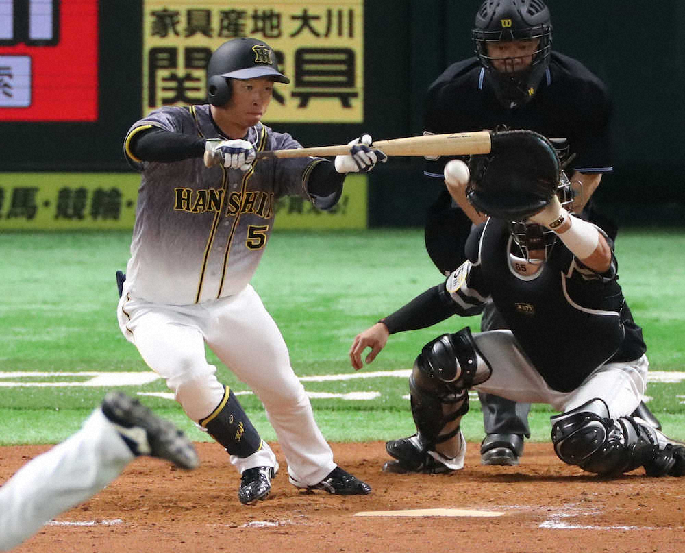 【画像・写真】【内田雅也の追球】“考える選手”を考える――阪神2番・近本が試みたバントの意味