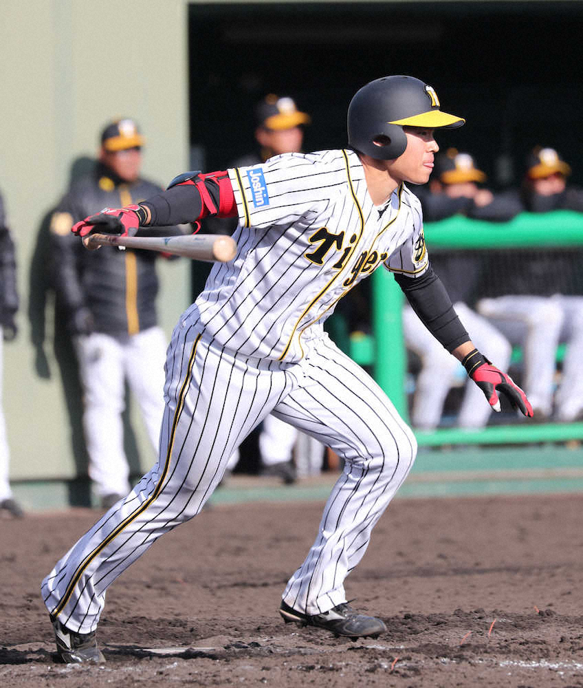 【画像・写真】阪神　高卒新人トリオ期間限定昇格！甲子園“凱旋”デビューへ指揮官「楽しみ」