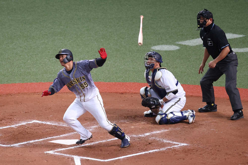 【画像・写真】阪神・陽川　7年目初の開幕1軍へ特大逆転3ラン　矢野監督“右の切り札”「評価してます」