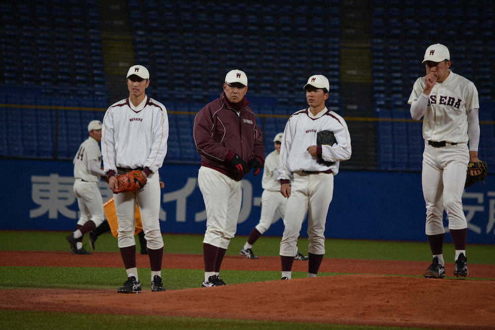 【画像・写真】東大＆早大が神宮でナイター練習　照明LED化で「サインが見やすくなった」