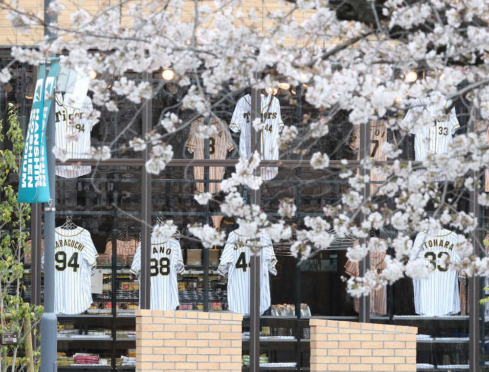 【画像・写真】阪神　4.9再始動へ　藤浪コロナ陽性から2週間経過後　新たな感染者出なければ