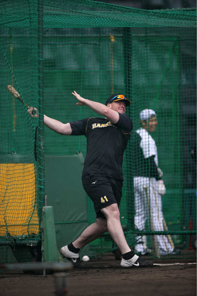 【画像・写真】阪神・ボーア　原点回帰！自宅待機中はメジャー時代のフォーム再確認