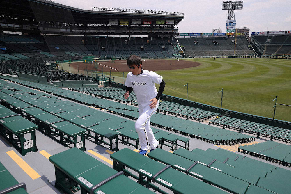 【画像・写真】甲子園で黙々と自主練習を行う能見（球団提供）