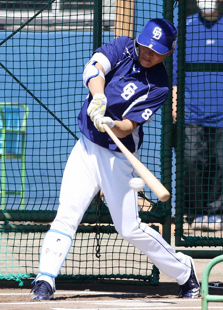 【画像・写真】中日・大島　屋外フリー打撃で柵越え3本　さらなる実戦に近い練習希望