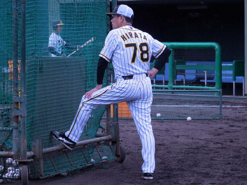 【画像・写真】阪神・平田2軍監督　視察解禁で選手の動きに満足「自分たちでやってきたのが伝わった」