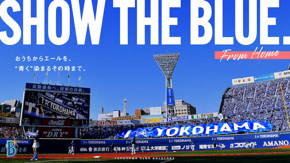 【画像・写真】DeNA　ファンの写真で作成「ビッグフラッグ」写真募集を開始