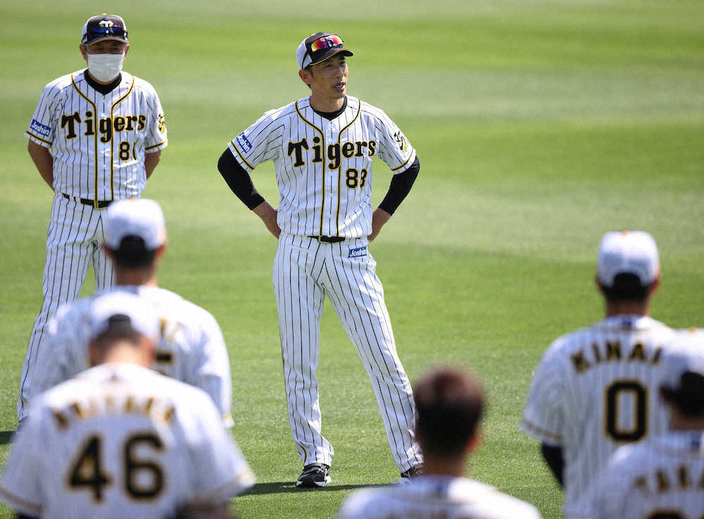 【画像・写真】阪神・矢野監督　西勇以外は“サバイバル再開”「全員が戦力で可能性がある」