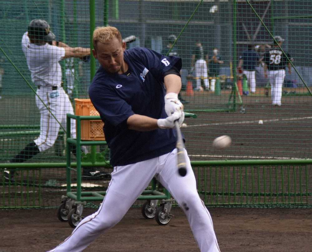 【画像・写真】日本ハム・中田　ロッテ・朗希との対戦熱望「打席に立って速さを見たい」