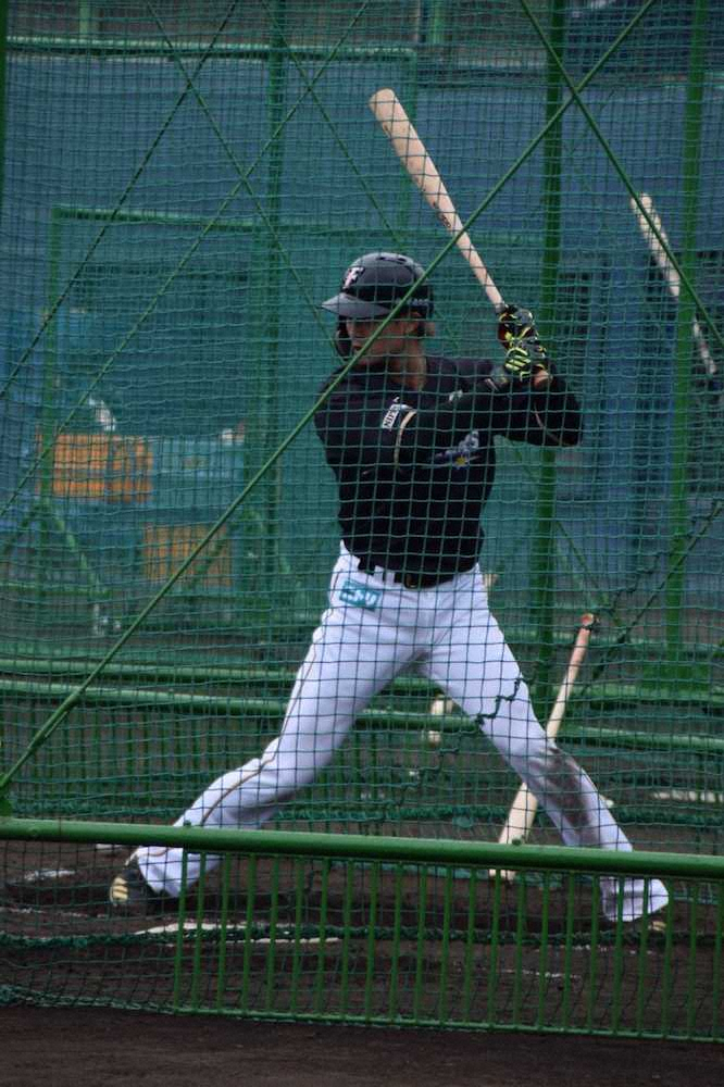 【画像・写真】今季から主将の日本ハム・西川　体ケアの時間増加を球団に要望「セルフケアにも限界がある」