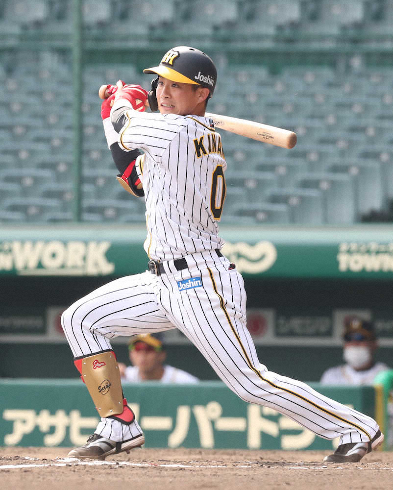 【画像・写真】阪神・木浪　プロ初の左越え弾　2年目の成長示す一撃「とにかく強く振ること意識」