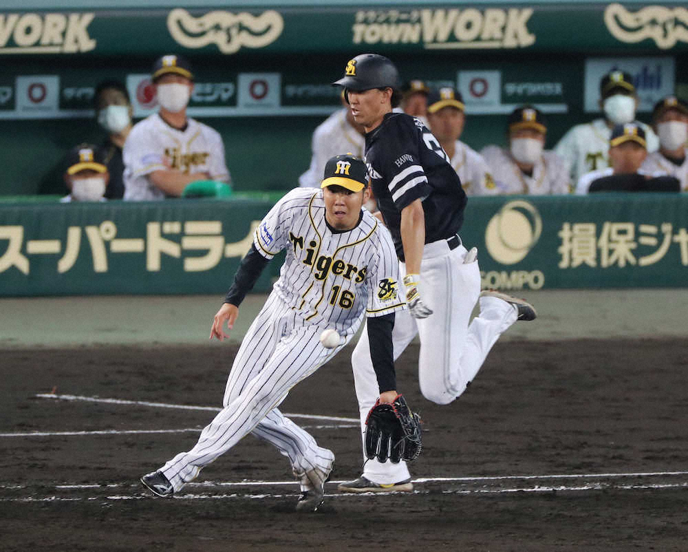 【画像・写真】【内田雅也の追球】“響きあう”人の連携――阪神、開幕への準備
