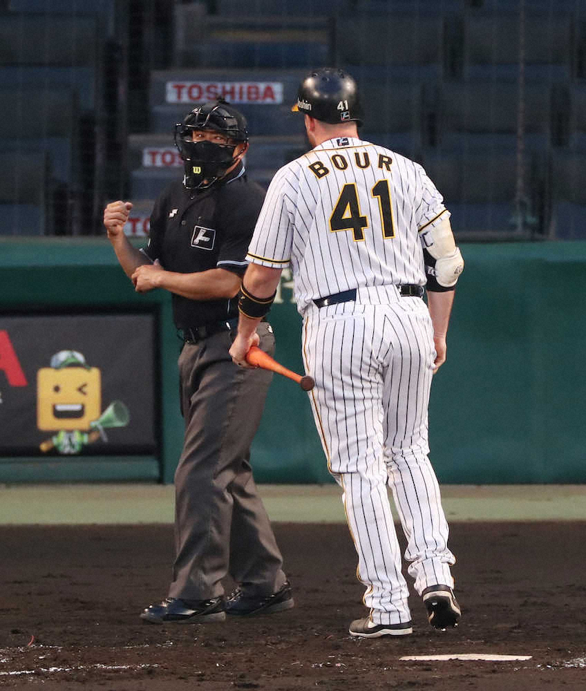 【画像・写真】【内田雅也の追球】「腹を立てないために」――判定の癖を把握した阪神・ボーア