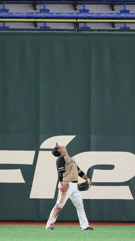 【画像・写真】巨人・岡本　超特大2戦連発！看板の間にガツン！「しっかり振りにいけている」原監督も称賛