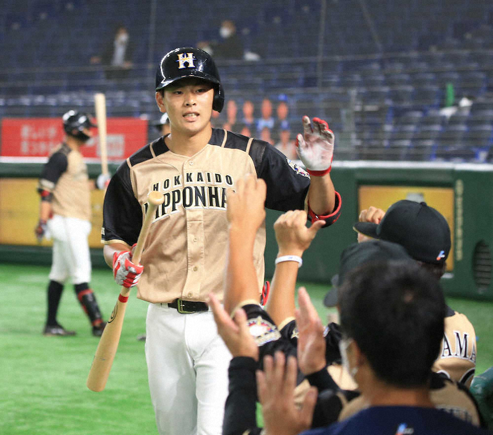 【画像・写真】＜練習試合　巨・日＞6回1死　ソロ本塁打を放ちエアタッチする日本ハム・野村（撮影・白鳥　佳樹）　