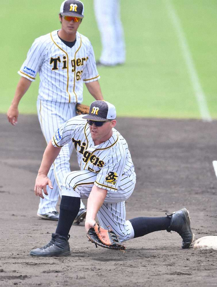 【画像・写真】阪神・サンズ　一塁本格挑戦！24日のウエスタン・オリックス戦で先発予定