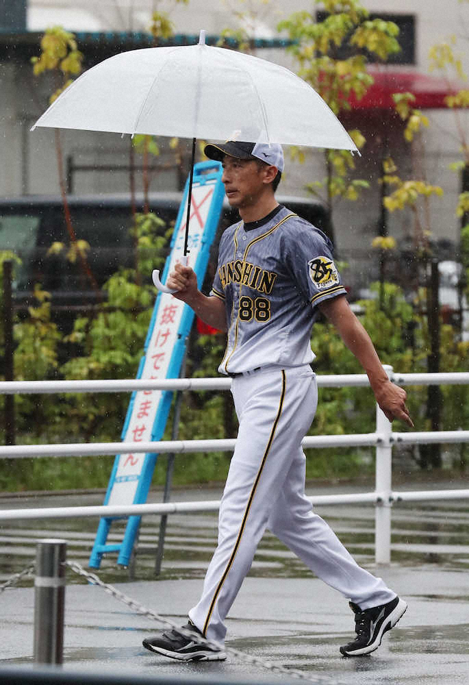 ＜広・神（1）雨天中止＞傘をさして室内練習場から球場に向かう矢野監督（撮影・坂田　高浩）