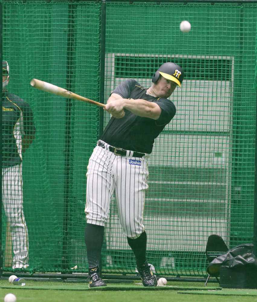 【画像・写真】阪神　4番争奪戦ぼっ発　負傷マルテの回復次第も、好調な大山、ボーアも候補に