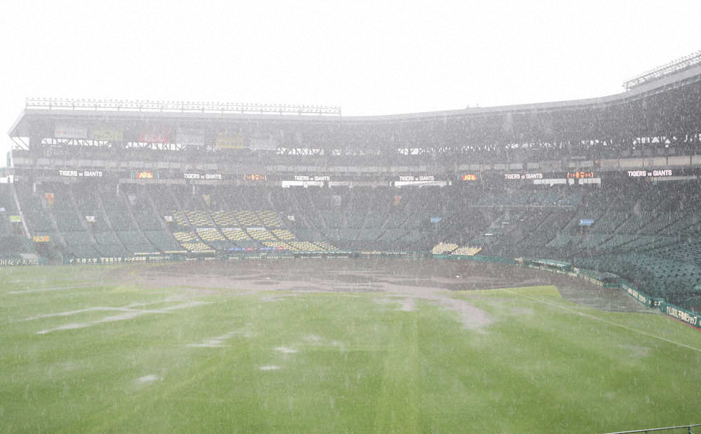 ＜神・巨＞試合前、大雨が降る甲子園球場。2日連続の中止となった（撮影・平嶋　理子）　　　　　　　　　　　　　　　　　　　　　　　　　　　　　　　　　　　　　　　　　　　　　　　　　　　　　　　　　　　　　　　