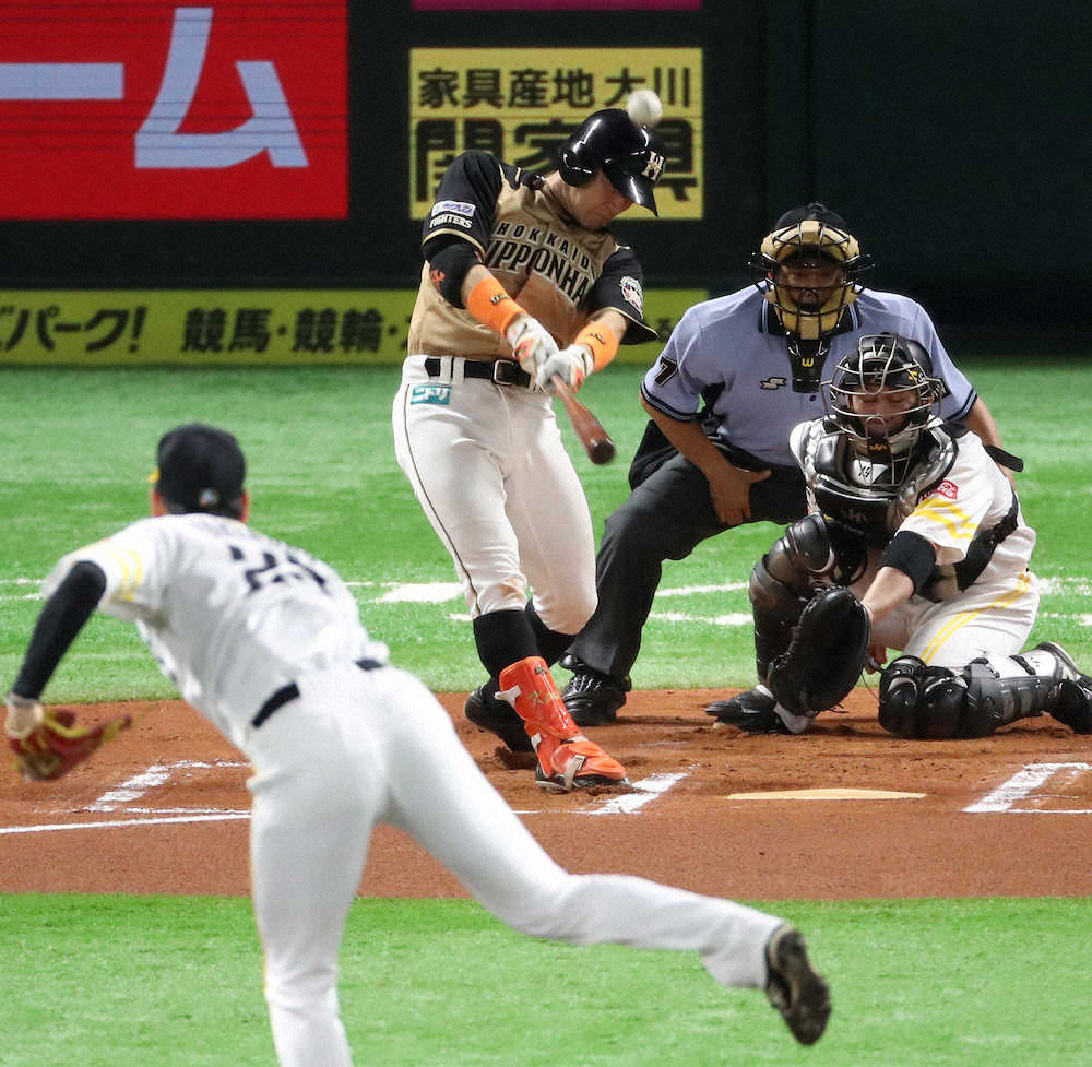 【画像・写真】石橋貴明、帝京後輩へ愛情だだ漏れ「バックスクリーンって！パワーアップしてます、スギノール！」