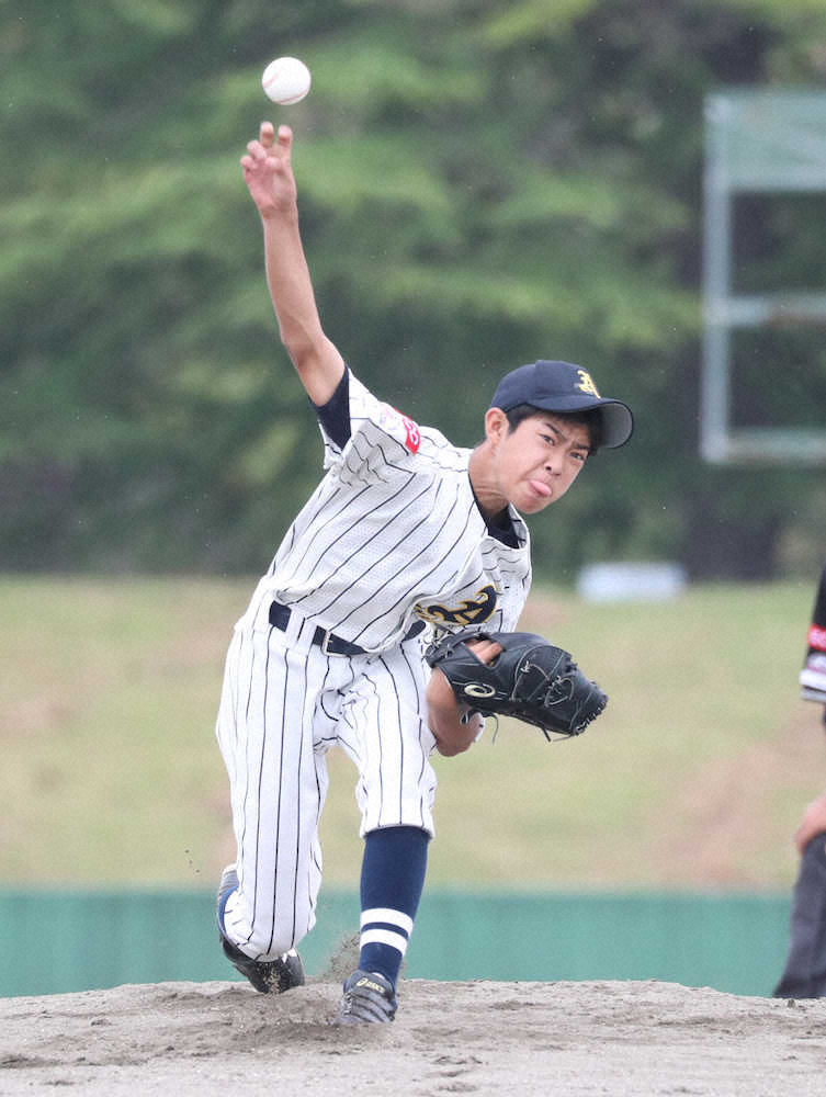 【画像・写真】月刊ポニーリーグ7月号　愛知稲沢が4戦全勝で全日本選手権出場　関西地区予選