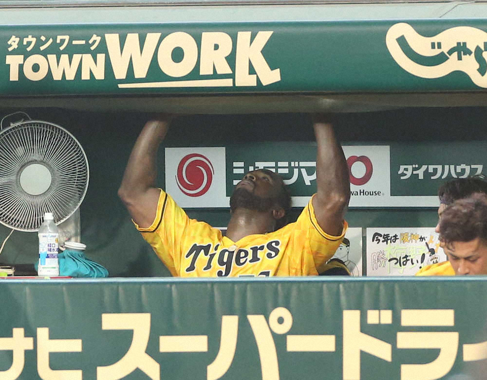 【画像・写真】阪神　今季初白星が遠いガルシア　7度目の先発も5回3失点で降板