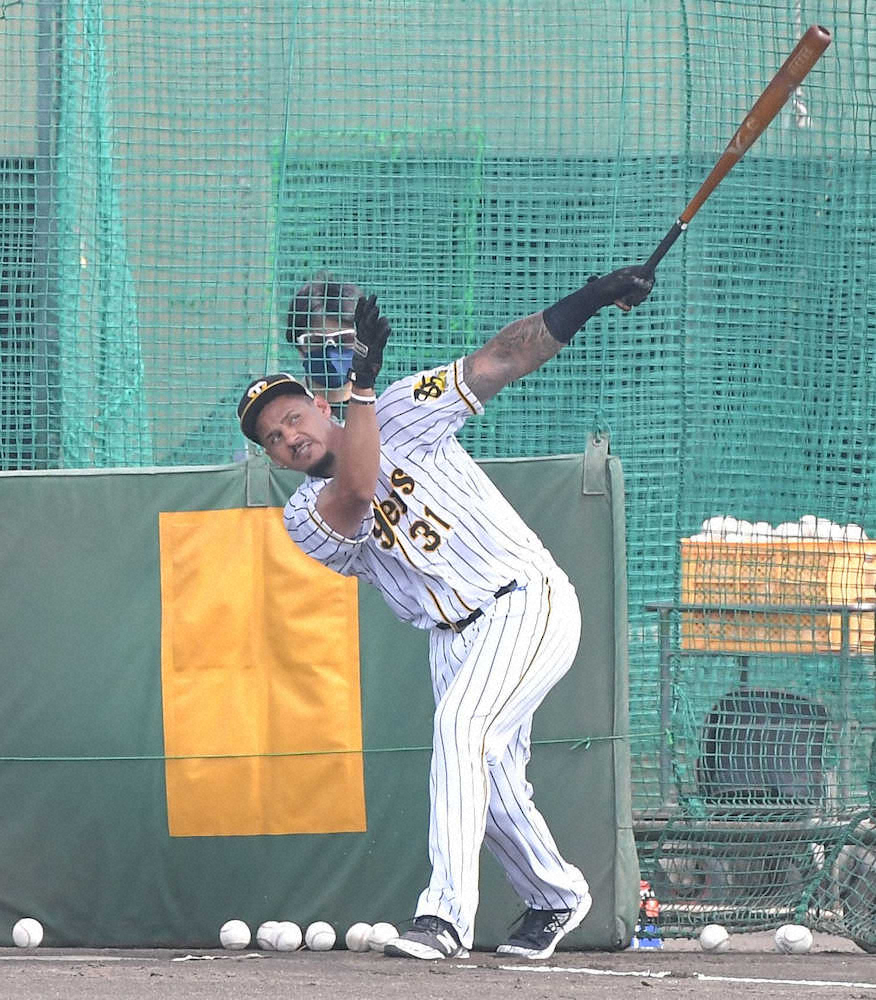 【画像・写真】阪神・マルテ　フリー打撃で140メートル弾　10日からのウエスタン・オリックス戦で出場視野