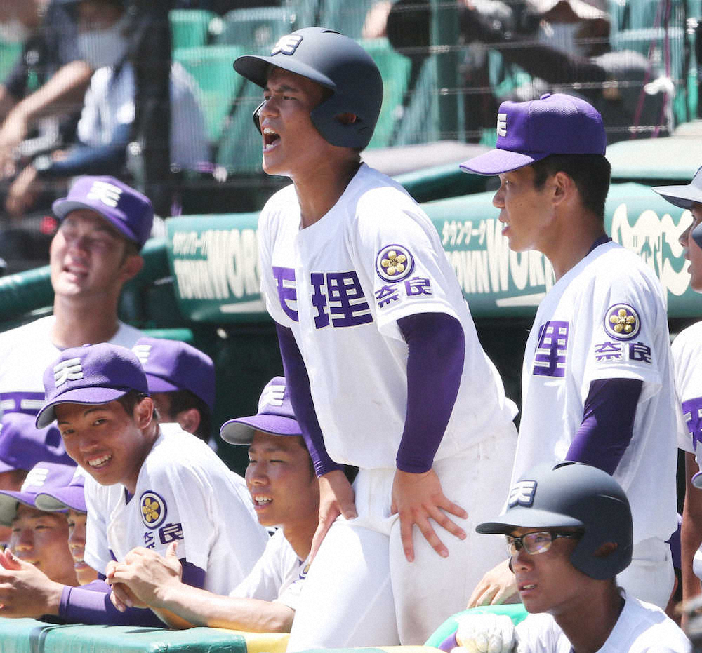 【画像・写真】天理の背番号19・嶋田　必死の声出し、チーム元気づけた　箕島で春夏連覇の伯父に負けぬ輝き