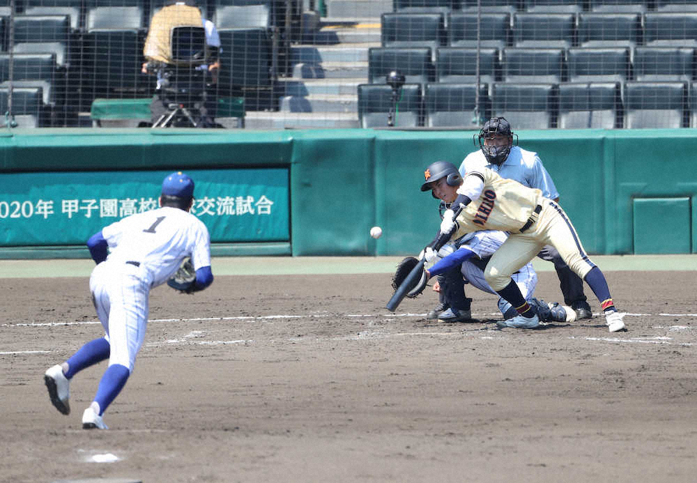 【画像・写真】帯広農の4番・前田　大学野球につながる…うれしスクイズ