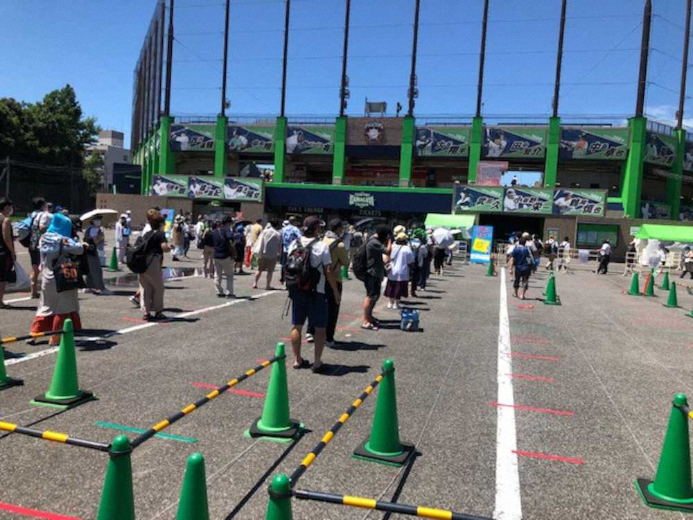 【画像・写真】日本ハム　鎌ケ谷での2軍戦のシャトルバス増便、9月6日までの土日限定