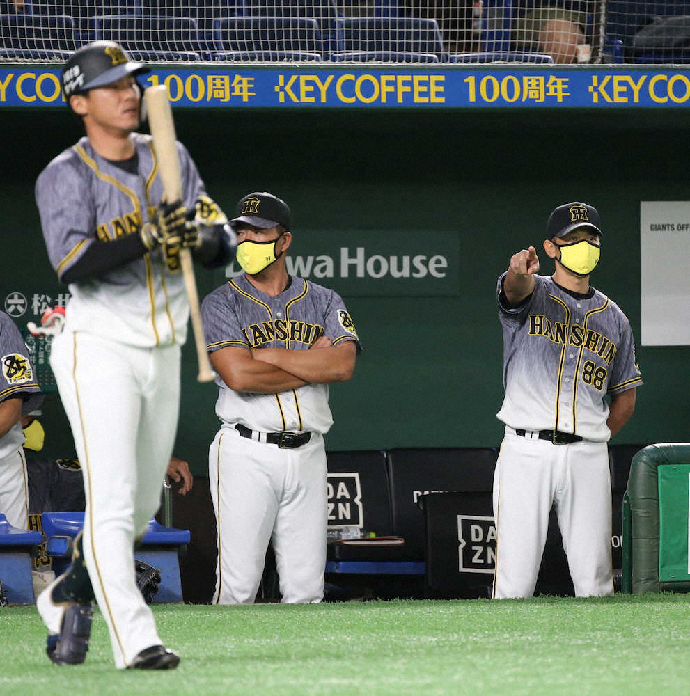 【画像・写真】阪神・矢野監督　あす先発・藤浪の力投に期待「まずは晋太郎に頑張ってもらうというのは大事な部分になる」
