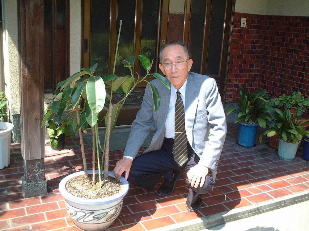 甲子園の土を入れた自宅玄関の鉢植えを前に思い出を語る福嶋一雄さん