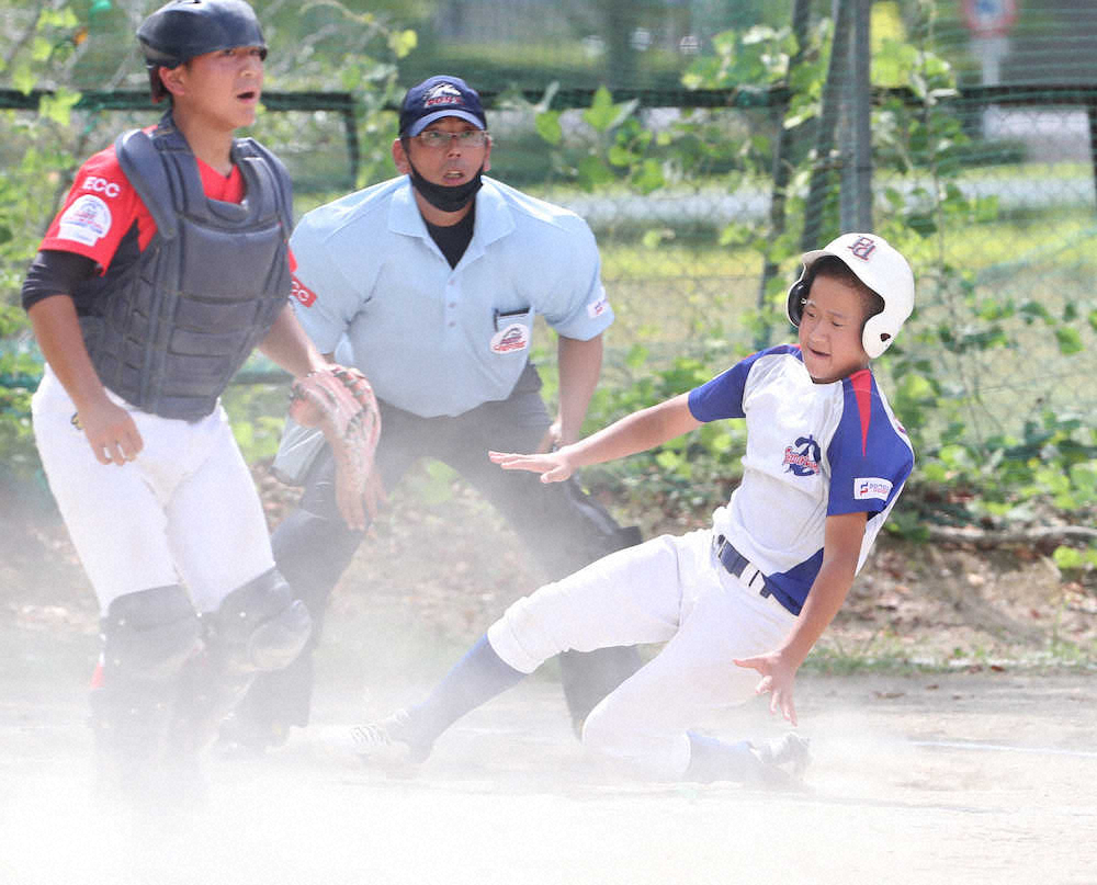 【画像・写真】月刊ポニーリーグ8月号　奈良ポニーＦＯＤが3位入賞で夢の全国へ