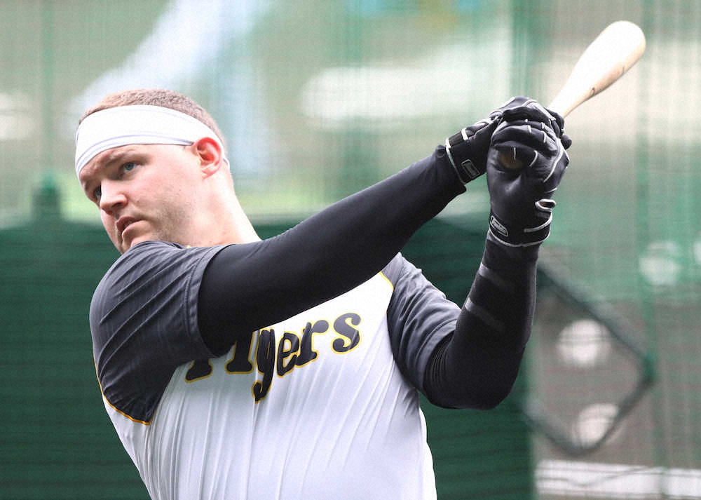 【画像・写真】＜神・巨　雨天中止＞トス打撃で汗を流す阪神・サンズ（撮影・後藤　大輝）
