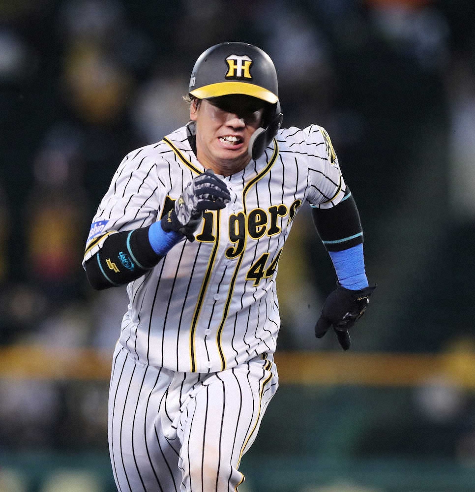 【画像・写真】阪神　3連勝へ　2番は2試合連続で梅野