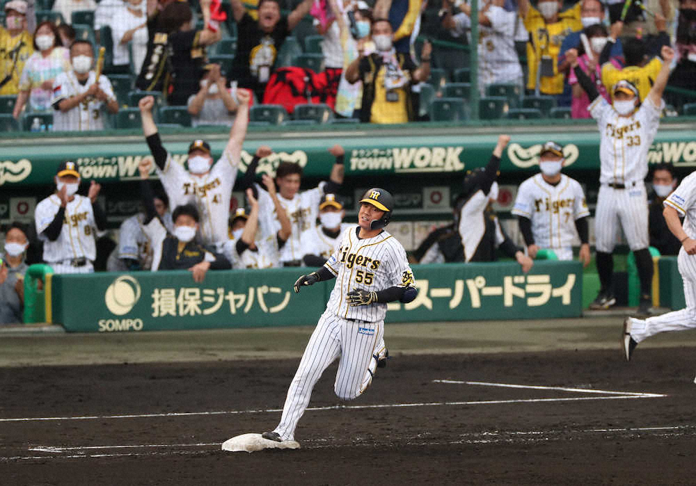 【画像・写真】金本知憲氏　甲子園のラッキーゾーン復活に賛成「ホームランがあった方が野球が面白い」