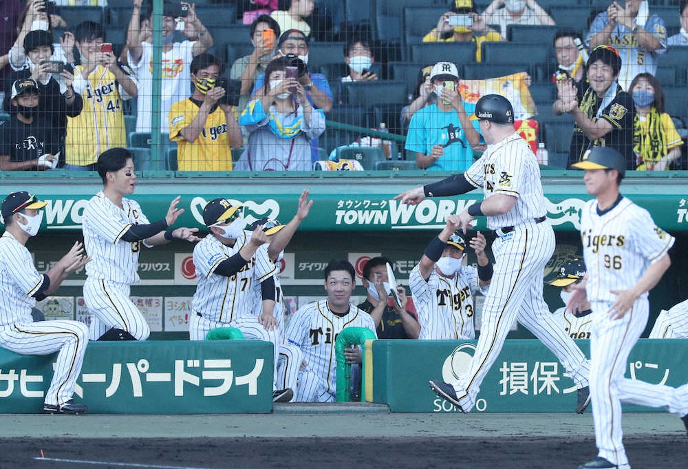 【画像・写真】＜神・D＞6回1死、中越えにソロ本塁打を放ったボーア（右）を迎えるナイン（撮影・坂田　高浩）