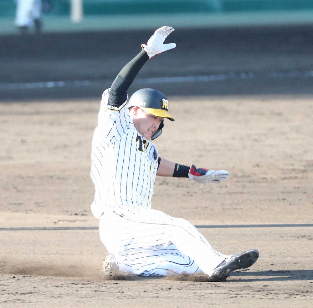 【画像・写真】【内田雅也の追球】黄色いウエーブを起こそう　ファンが後押しで決勝点を奪った阪神
